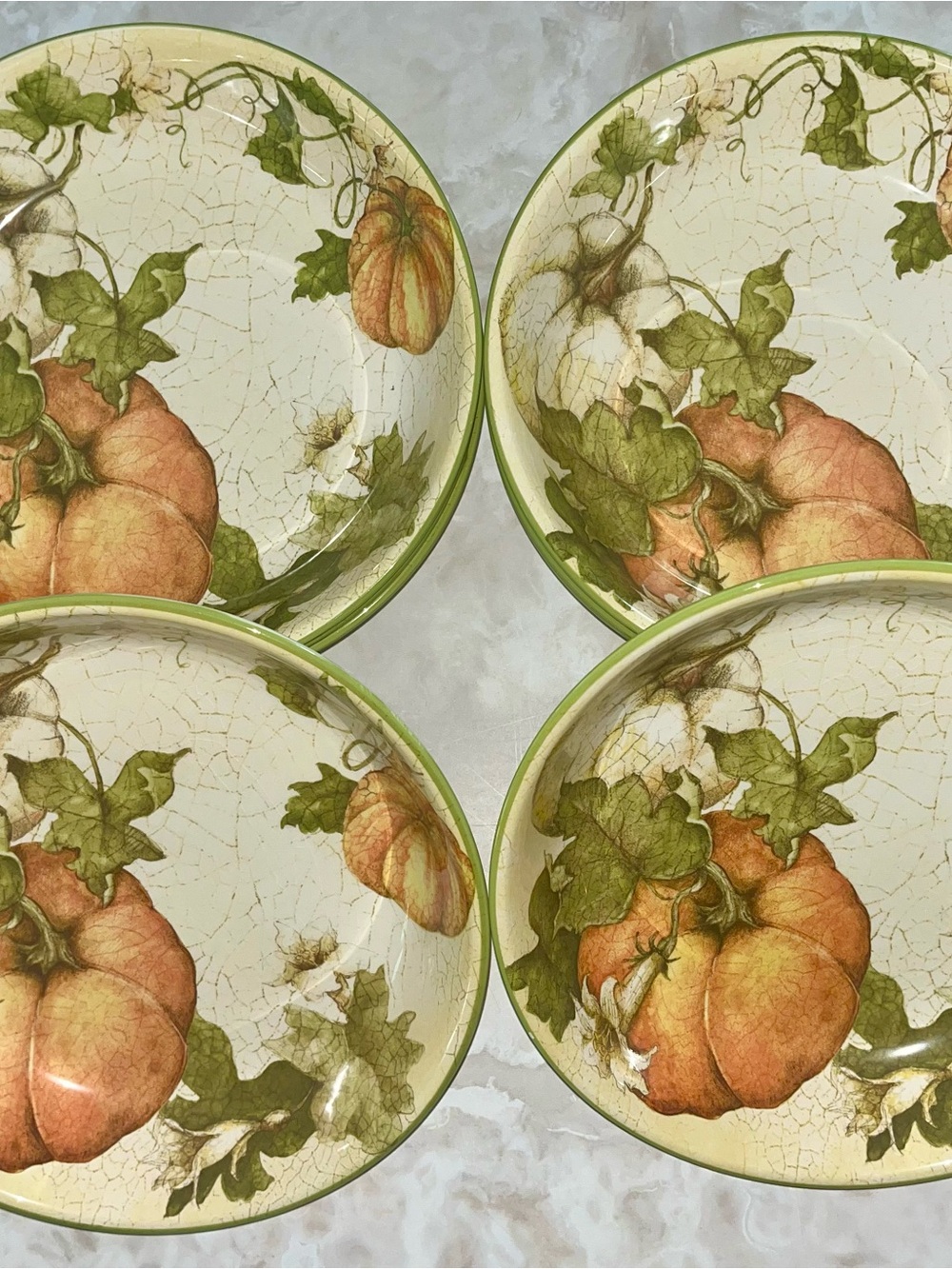 Set of 6 Pier 1 Imports Harvest Garden Pumpkin Soup Pasta Bowls - EXCELLENT